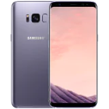 Samsung Galaxy S8 64 GB Orkide